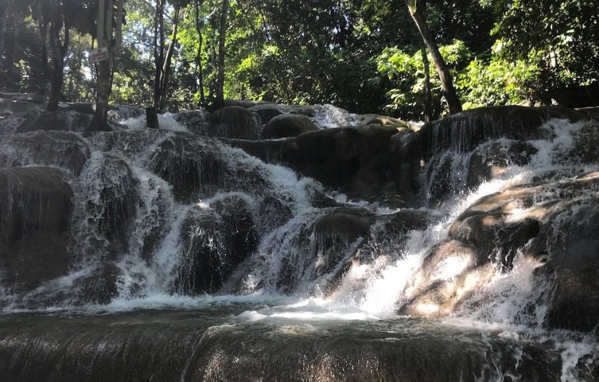 Dunn’s River Falls and Blue Hole Combo Tour From Ocho Rios & Runaway Bay